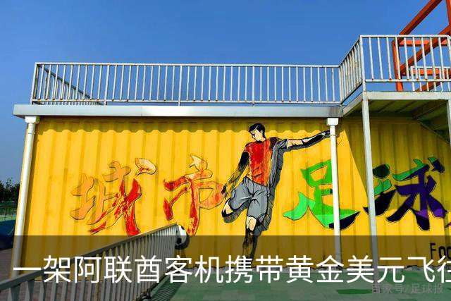一架阿联酋客机携带黄金美元飞往伊朗！