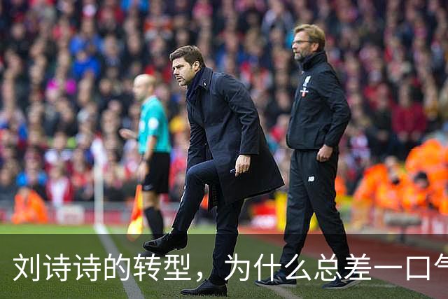 刘诗诗的转型，为什么总差一口气？