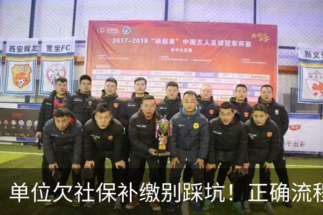 单位欠社保补缴别踩坑！正确流程：单位申报，个人不要提前转钱