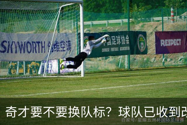 奇才要不要换队标？球队已收到改版请求，球迷投票定夺