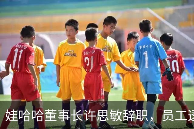 娃哈哈董事长许思敏辞职，员工透露内幕，宗馥莉派系和接班细节流出