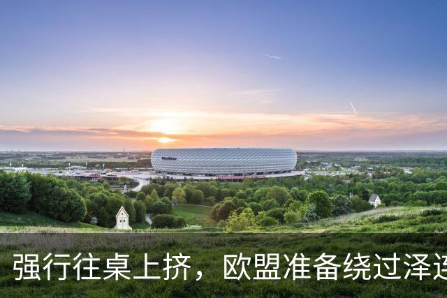 强行往桌上挤，欧盟准备绕过泽连斯基，直接跟普京谈“割地”