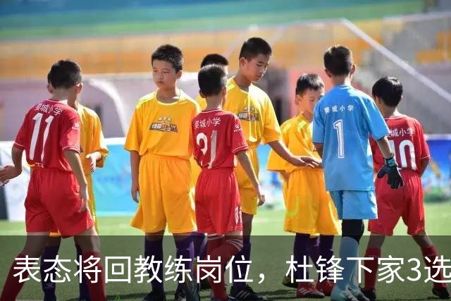 表态将回教练岗位，杜锋下家3选1，国家队热门，宏远或错过良机