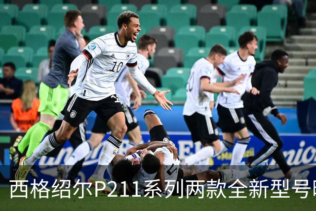 西格绍尔P211系列两款全新型号曝光 采用轻量化设计 便于日常携带