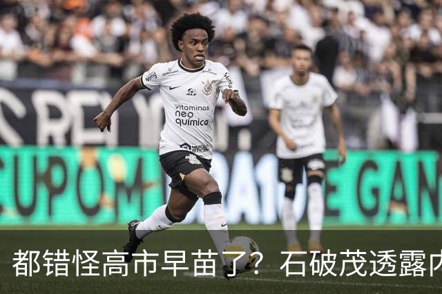 都错怪高市早苗了？石破茂透露内幕，这个女人不仅坏，而且很愚蠢