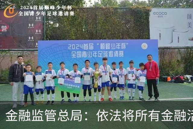 金融监管总局：依法将所有金融活动全部纳入监管