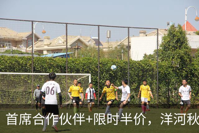 首席合作伙伴+限时半价，洋河秋糖这波操作“洋”气十足